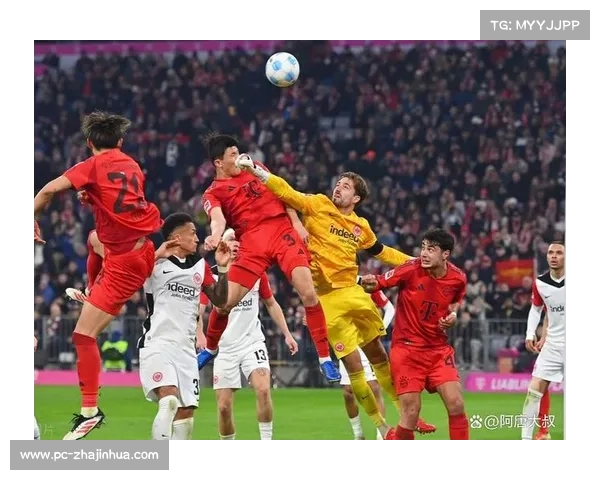 中国球迷新赛季可通过更多平台观看德甲赛事