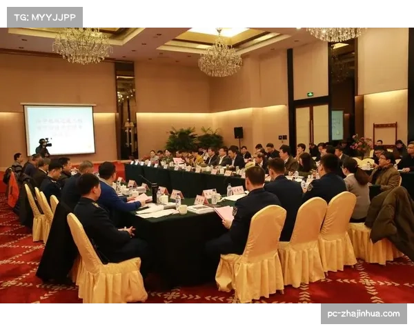 伊夫林省普瓦西球场选址评估启动,环境影响成焦点